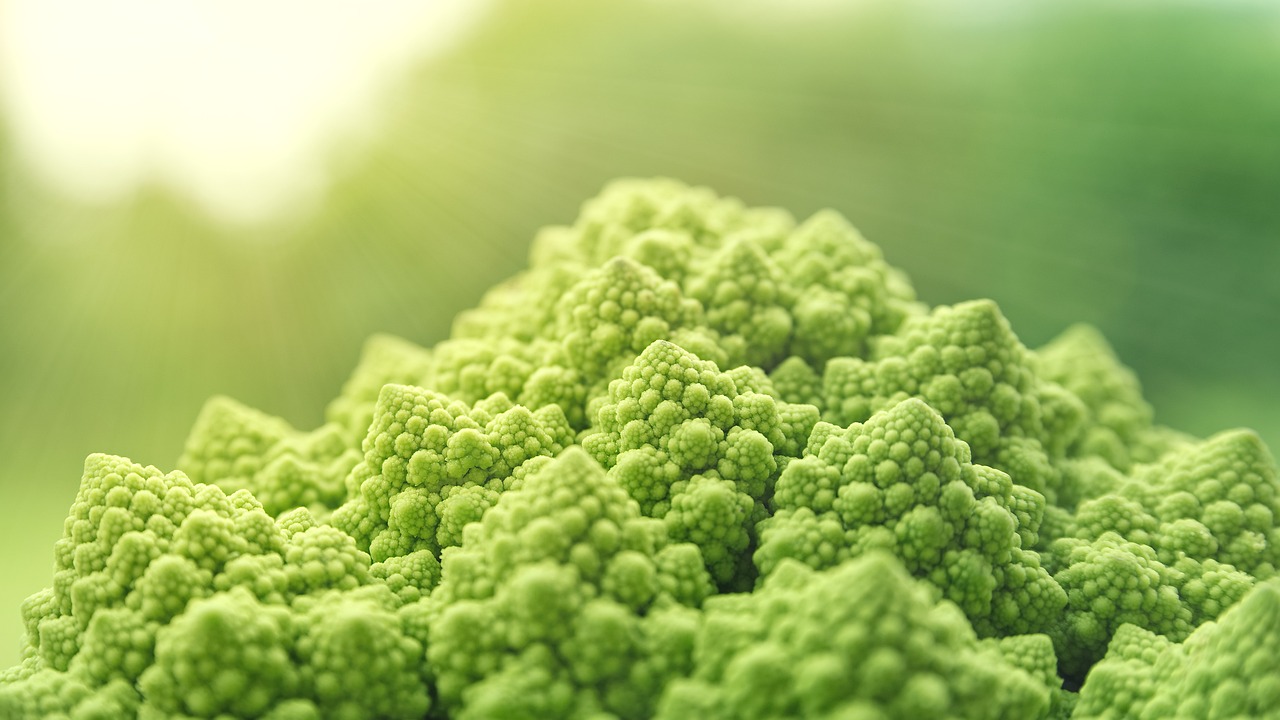 entdecken sie die vorteile des veganismus: eine gesunde ernährung, die umwelt schont und tierleidfrei ist. erfahren sie mehr über rezepte, lebensstil und tipps für ein veganes leben.