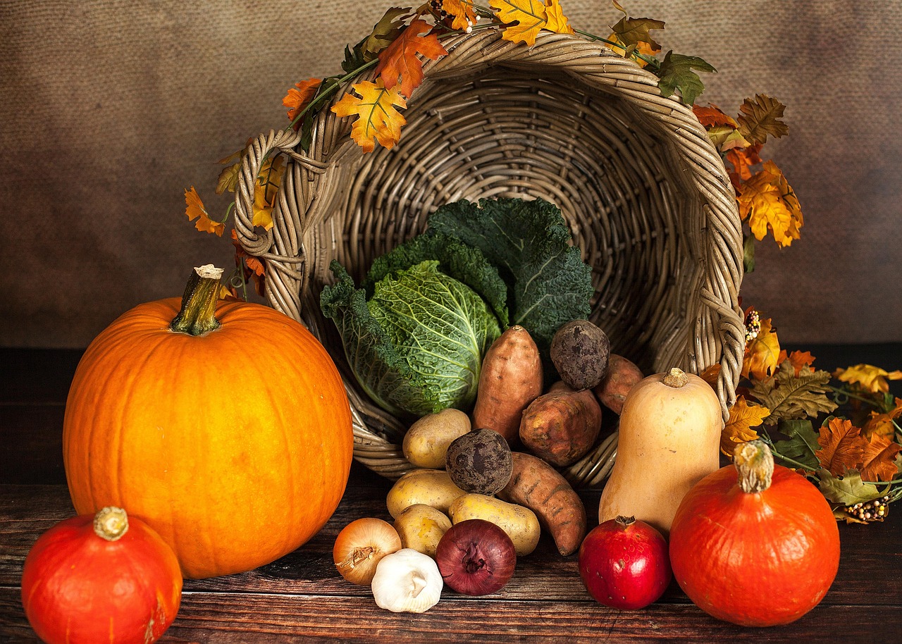 erfahren sie alles über ausgewogene ernährung, gesunde rezepte und nützliche tipps für eine bessere gesundheit und wohlbefinden. entdecken sie, wie sie ihre ernährung optimieren können.