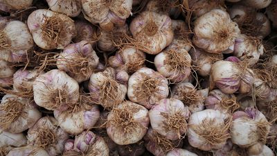 Wohlbefinden steigern: Tipps für ein gesünderes und glücklicheres Leben