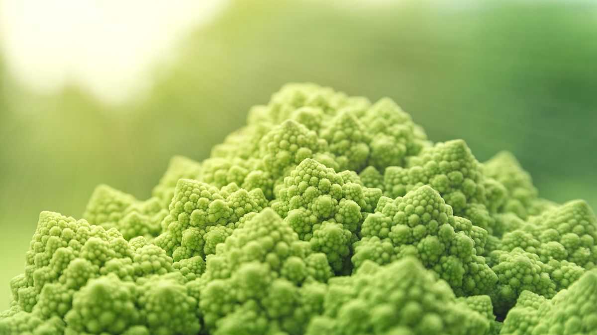 Veganismus: Eine Einführung in die Vorteile einer pflanzlichen Ernährung