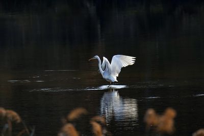 Die häufigsten Fehler im Alltag: Tipps zur Vermeidung typischer Alltagsfallen